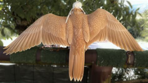 Gold Birds In The Wild Unique Rare Bird