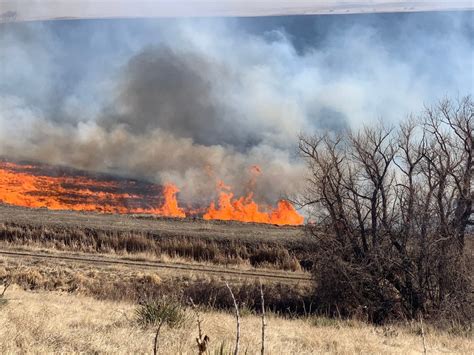 Grass Fire In Lakewood Forces Evacuations Closures On Morrison Road