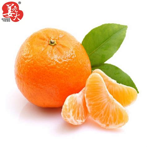 Fresh Baby Mandarin Nanfeng China Baby Mandarin And Small Orange