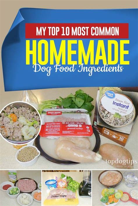 My Top 10 Most Common Homemade Dog Food Ingredients Dog Food Recipes
