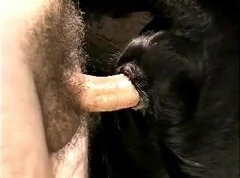 474px x 353px - A Man Having Sex With His Monkey Youtube | SexiezPix Web Porn
