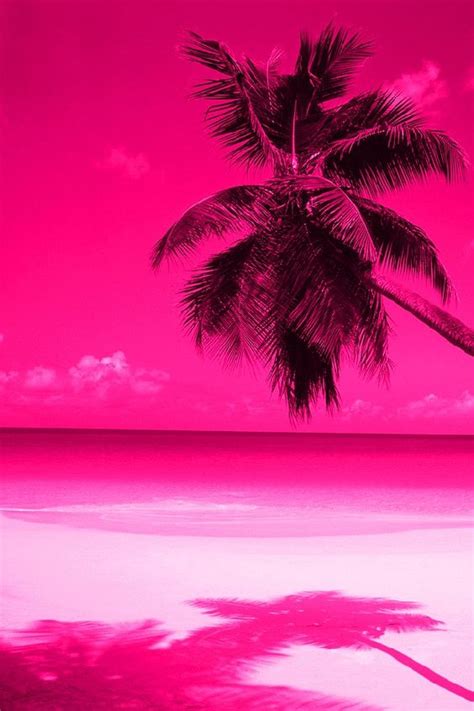 Pink Sunset Wallpapers And Iphone 5 Wallpaper On Pinterest