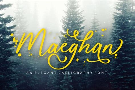 40 Best Calligraphy Fonts 2024 Theme Junkie