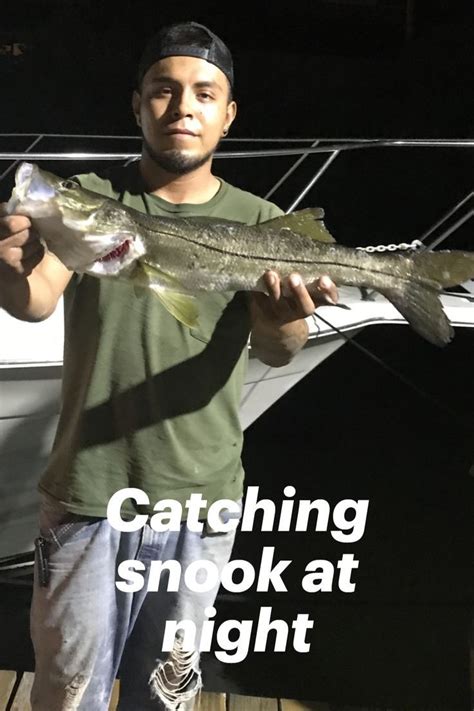 How To Catch Snook Fish Transfer Man