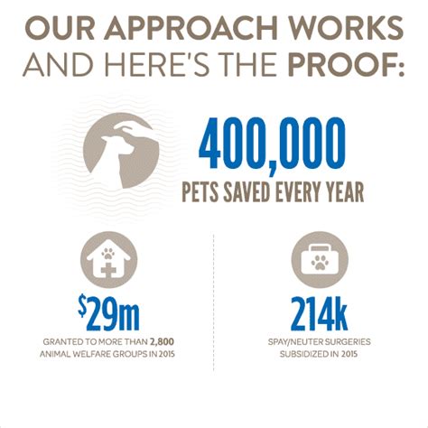 Though the company does stand out for its wellness coverage, consumers should be aware of alleged issues with claim reimbursement. National Pet Adoption Weekend At Petsmart Sept 16-18