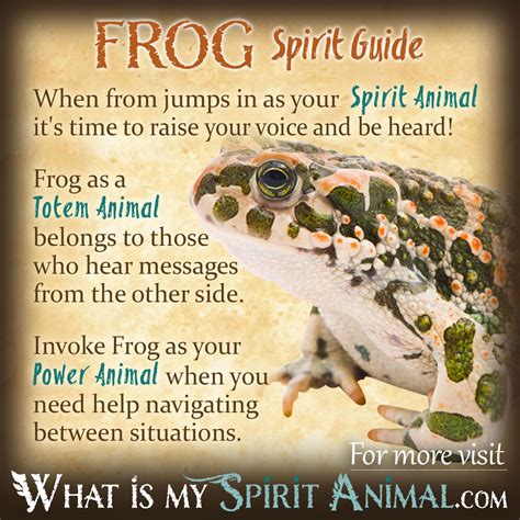 Frog Symbolism And Meaning Spirit Totem And Power Animal