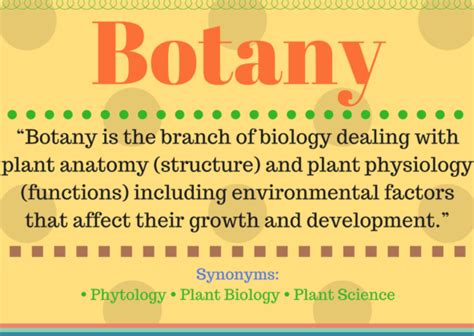 What Is Botany Botany Definition And Its Understanding