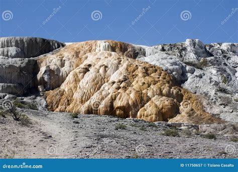 Limestone In Yellowstone National Park Stock Image Image Of Morning