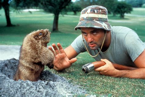 Bill Murray See Photos Of His Best Movie Roles Time