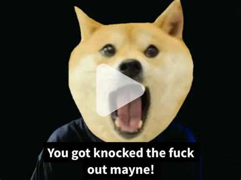 Knock Tf Out Mayne Doge Video Meme Piñata Farms The Best Meme