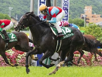 ７月 ラジオnikkei賞 ｃｂｃ賞 七夕賞 プロキオンｓ 函館２歳ｓ 中京記念 函館記念 アイビスｓｄ. ラジオNIKKEI賞2020予想 - 過去10年の結果｜競馬予想のウマニティ ...