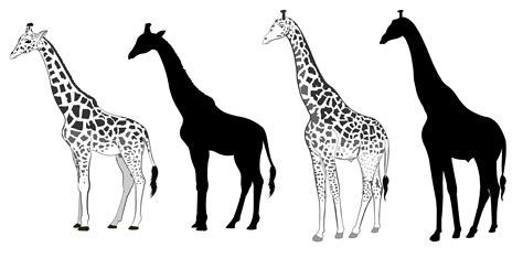 Giraffe Silhouette 533013 Vector Art At Vecteezy