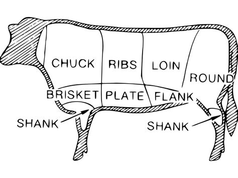 8 Primal Cuts Of Beef To Learn Before Ordering Steaks Beginner