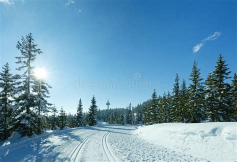 Skiing In The Powder Stock Photo Image Of Snow Powder 159138