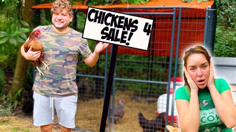 Selling My Wifes Chickens She Has No Idea Youtube