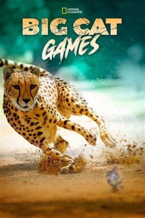 Big Cat Games 2015 — The Movie Database Tmdb