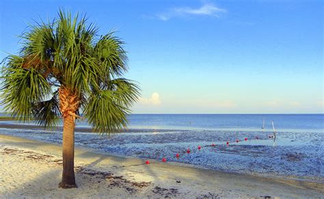 Cedar Key Beach Low Tide Photograph By Sheri Mcleroy Fine Art America