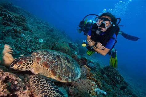14 Surprising Facts About Marine Biologist Facts Net