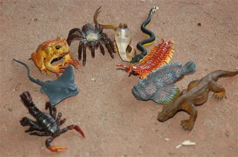 Venomous Creatures & Bugs from Safari Ltd.