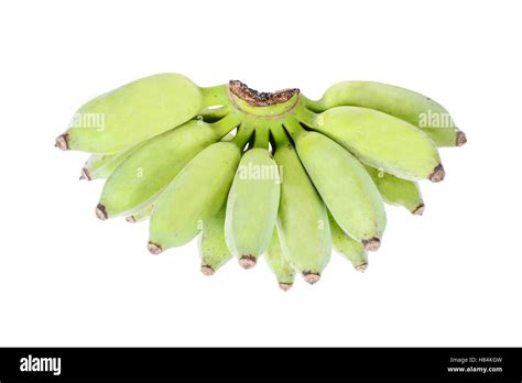 Green Bananas Do Not Ripe Isolated On A White Background Stock Photo