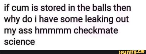 If Cum Is Stored In The Balls Then Why Do I Have Some Leaking Out My Ass Hmmmm Checkmate Science