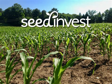 Seedinvest Ceo Ryan Feit Issuers Using Reg Cf Will Raise Over 100