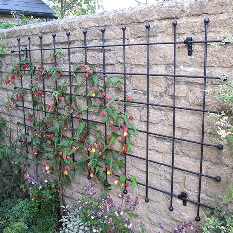 First, nail the remaining lath strip to the very top of the vertical members. Metal Garden Trellis - Harrod Horticultural