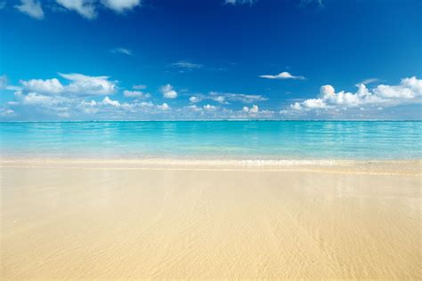 Sand Of Beach Caribbean Sea Hd Wallpapers Hd Images Hd Pictures