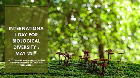 Check spelling or type a new query. International Day for Biological Diversity : May 22nd ...