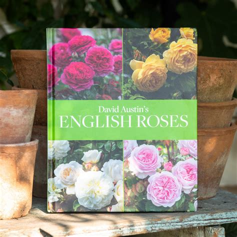 David Austins English Roses Books Ts