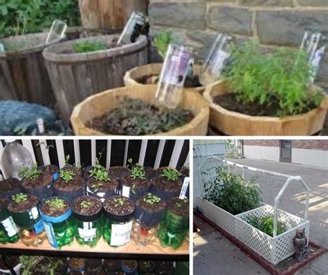 17 Cheap And Easy Diy Self Watering Ideas For Your Garden