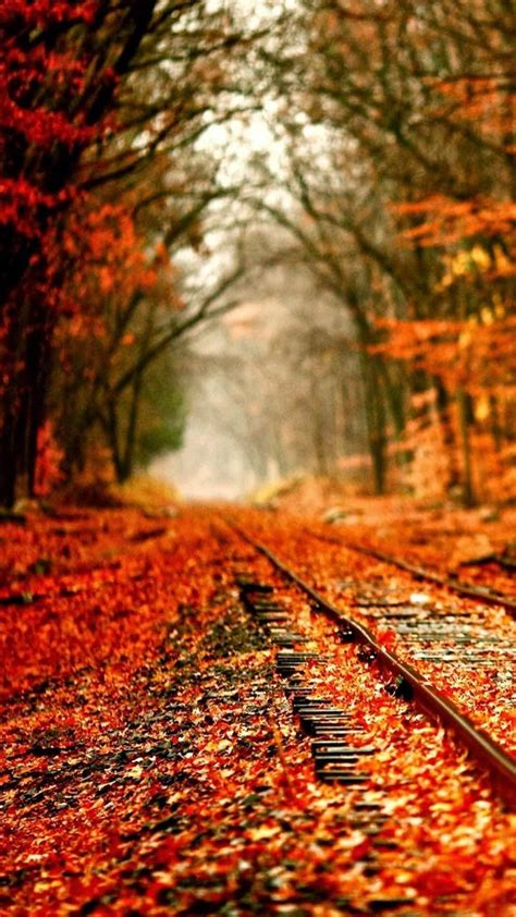 Autumn And Railroad Tracks Wallpapers Wallpaper Cave