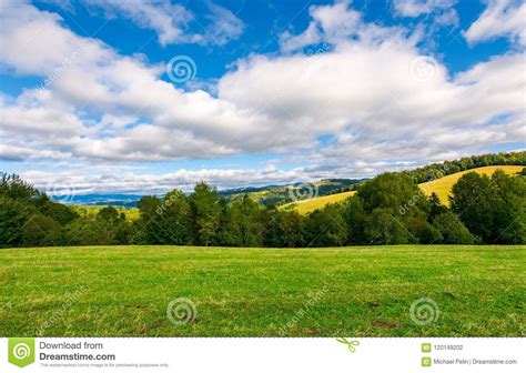 Beautiful Grassy Meadow On Hillside In Mountains Stock Photo Image Of
