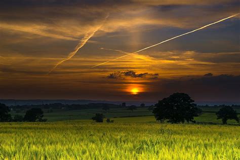 Cornfield Sunset Photograph By Moments In Time Photographics