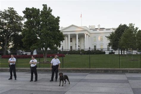 White House Security Incident Raises Serious Questions About Potential