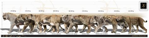 The Greatests Prehistoric Cats Бестиарий Доисторические животные