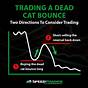 Dead Cat Bounce Chart