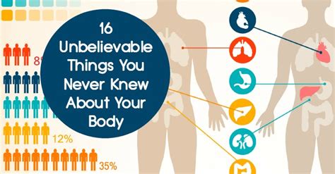 16 Unbelievable Things You Never Knew About Your Body