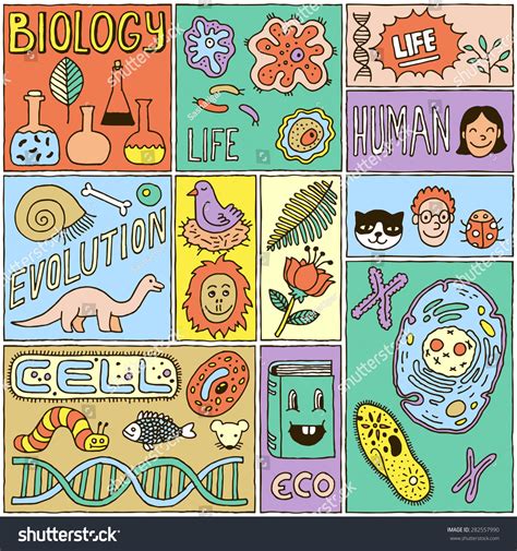 Biology Science Banners Set Color Hand Vector De Stock Libre De