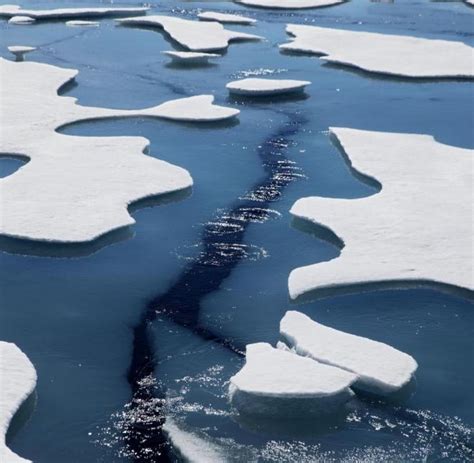 Das Eis in der Arktis schmilzt, die Schiffe kommen - WELT