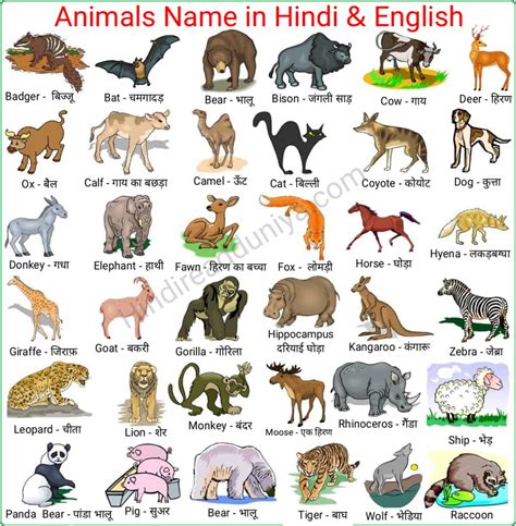 Wild Animals Name In Hindi And English With Pictures Pdf Download