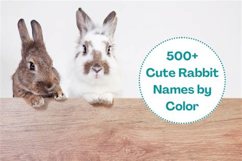 500 Cute Rabbit Names By Color Famous Bunny Characters
