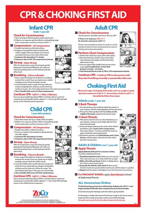 Buy Cpr And Choking For Infant Child Adult Laminated 12 X 18 In