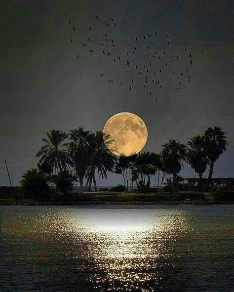 Pin By Ahmad Alamaereh On Måne Sol O Stjärnor 3 Beautiful Moon Moon