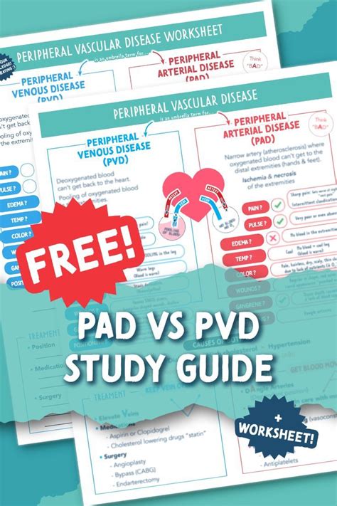Free Pad Vs Pvd Study Guide Worksheet Nurseinthemaking Peripheral