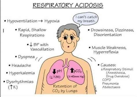 Phbander Alqarni On Twitter Respiratory Acidosis And Alkalosis