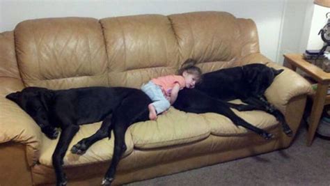 22 Babies And Their 4 Legged Best Friends 14 Couldnt Be