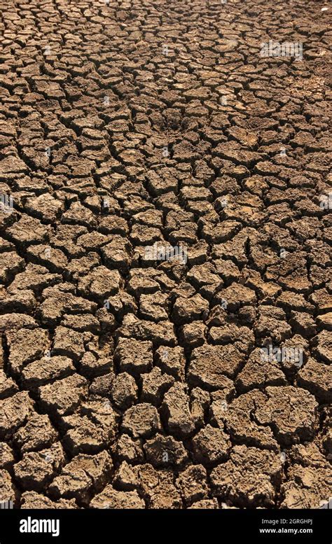 Dry And Cracked Ground Caused By Drought In Paraiba Brazil Climate