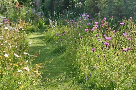 Nature Friendly Cottage Garden “meadows” Meadow Garden Cottage