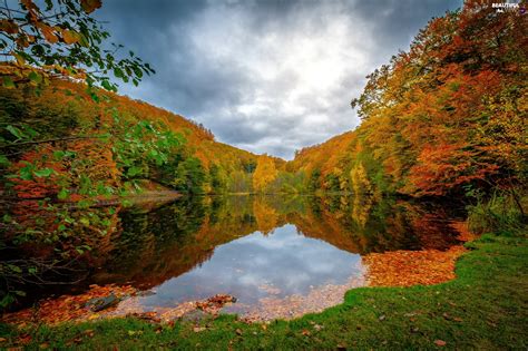 Trees Lake Leaf Clouds Viewes Autumn Beautiful Views Wallpapers